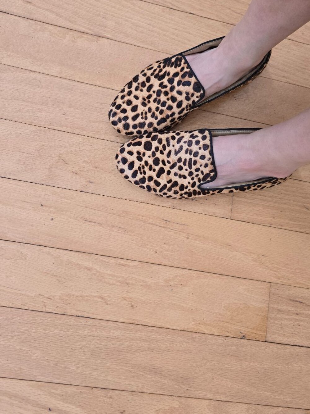 Birdies | The Starling cheetah print calf hair maximalist loafers | WMS 8.5